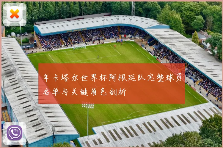 年卡塔尔世界杯阿根廷队完整球员名单与关键角色剖析